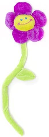 #Farbe_Violett Singende Geburtstags-Blume Violett – Ganzaufnahme