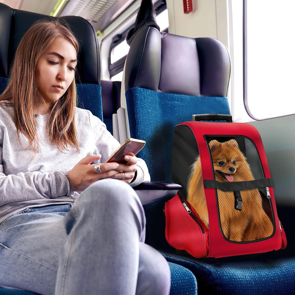 Hunde-Trolley & Haustier-Rucksack – Rot #Farbe_Rot