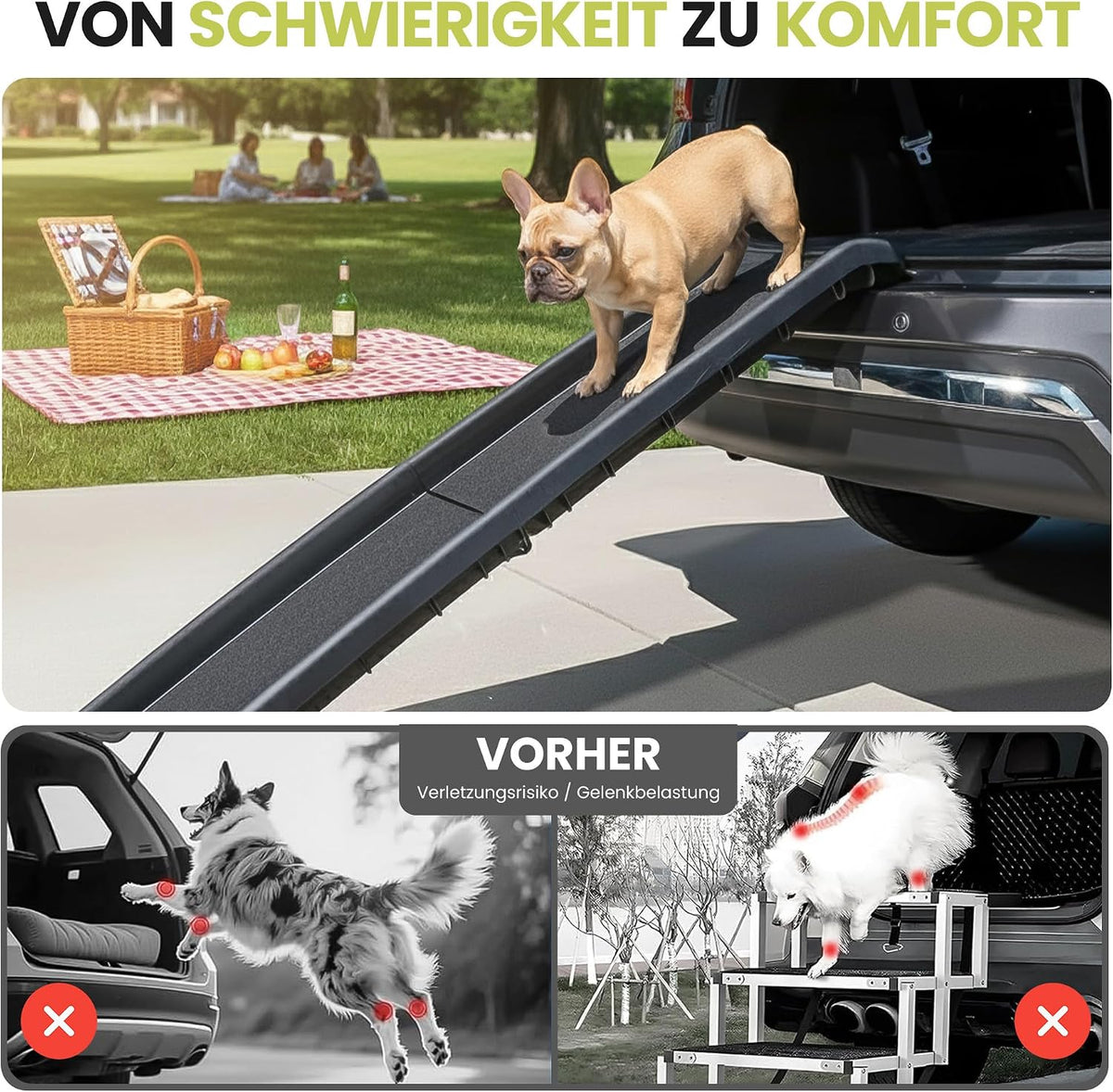 Hunderampe Premium Produktansicht 8
