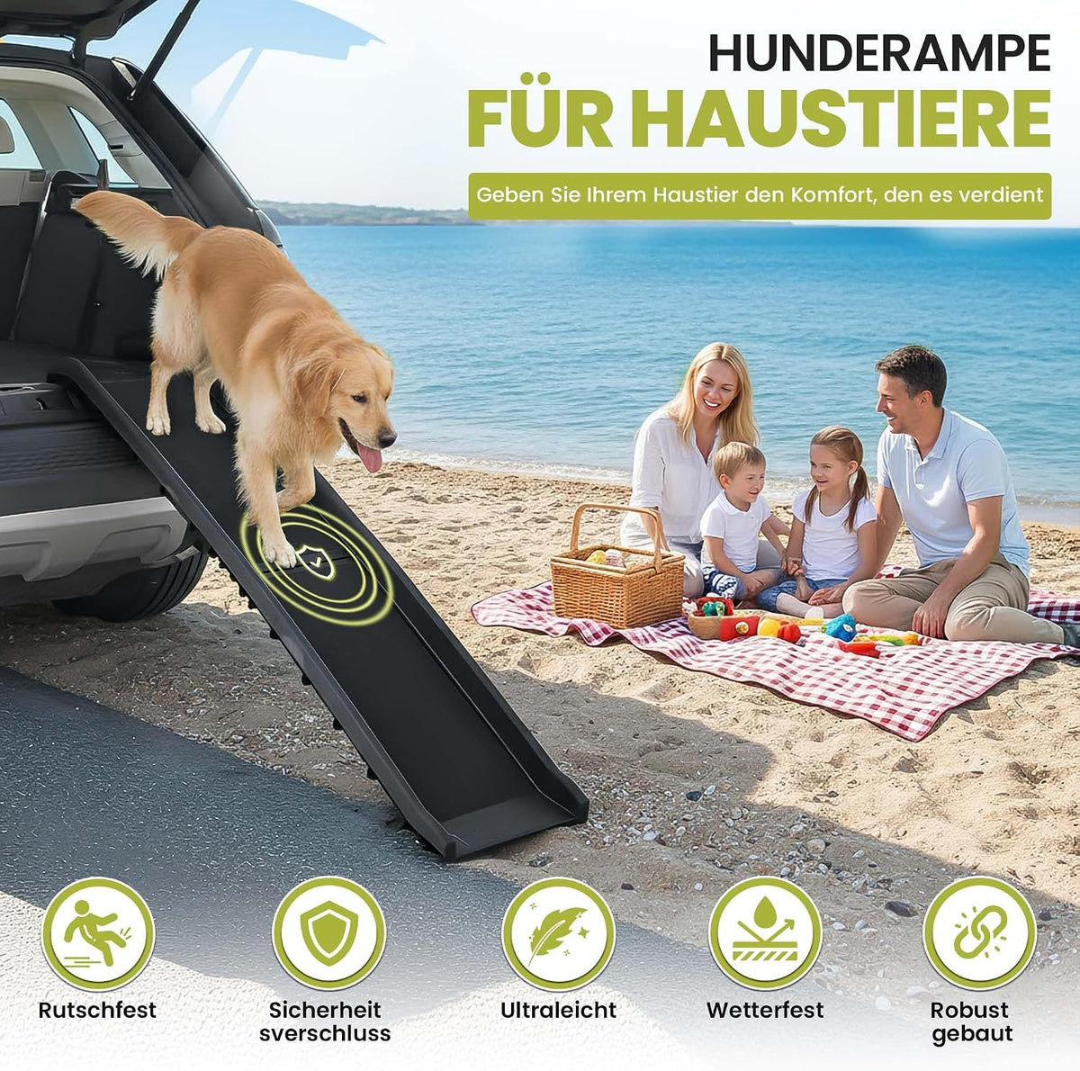 Hunderampe Premium Produktansicht 4