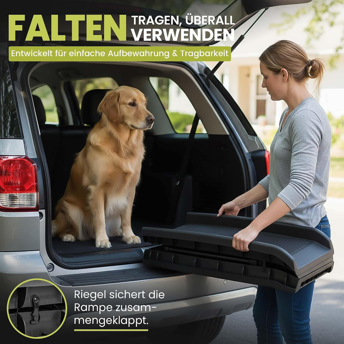 Hunderampe Premium Produktansicht 5