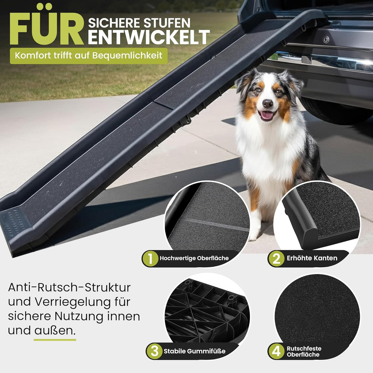 Premium Hunderampe – Produktansicht 3 #Variante_Premium