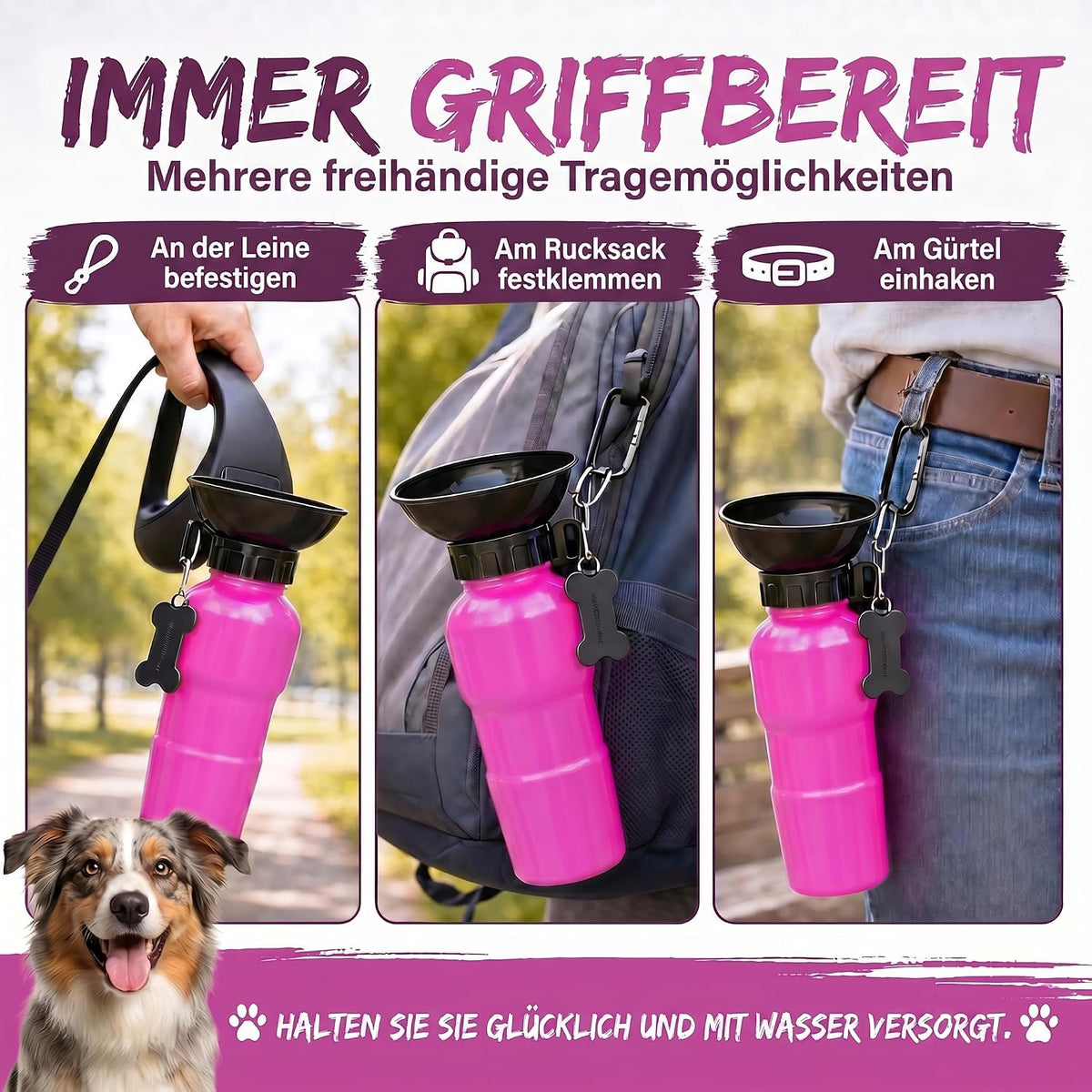 Hunde-Trinkflasche 600ml mit Napf – Auslaufsicher für Unterwegs #Farbe_Rot