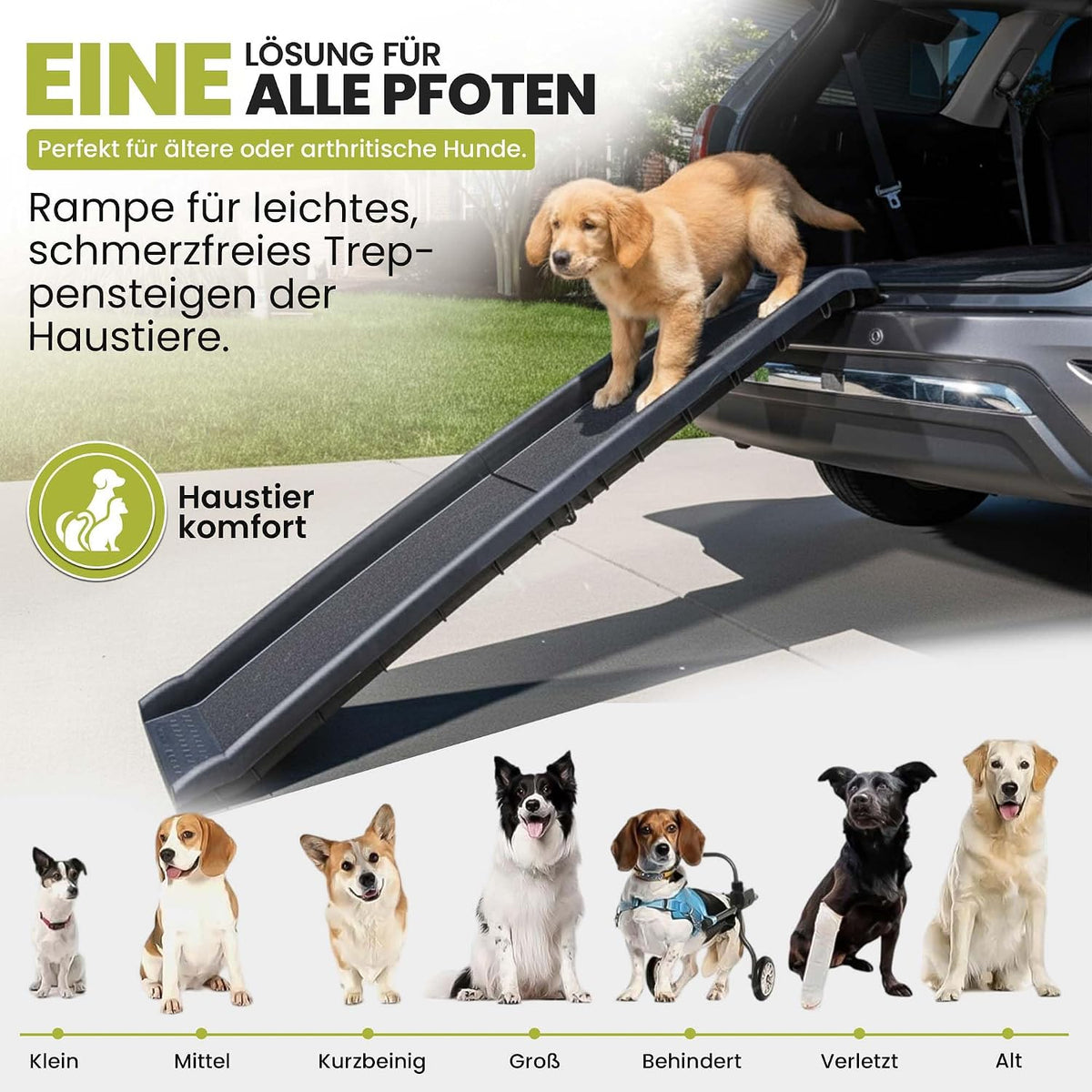 Premium Hunderampe – Produktansicht 2 #Variante_Premium