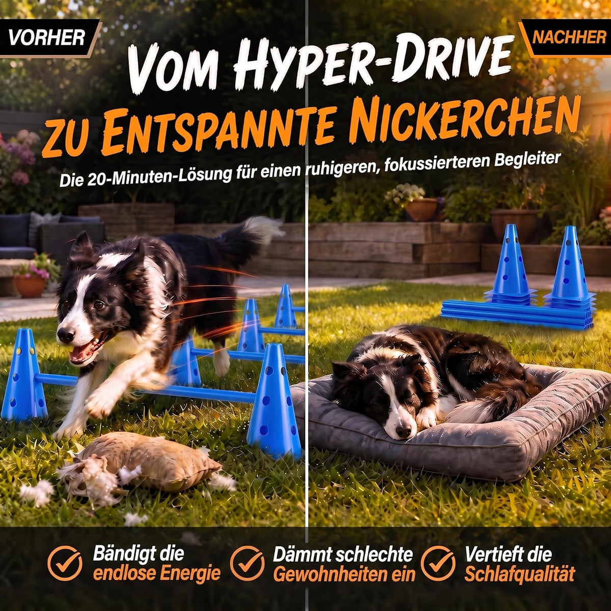 Hunde Agility Tunnel Set 500 cm - Spieltunnel mit Hürden #Variante_Kompakt