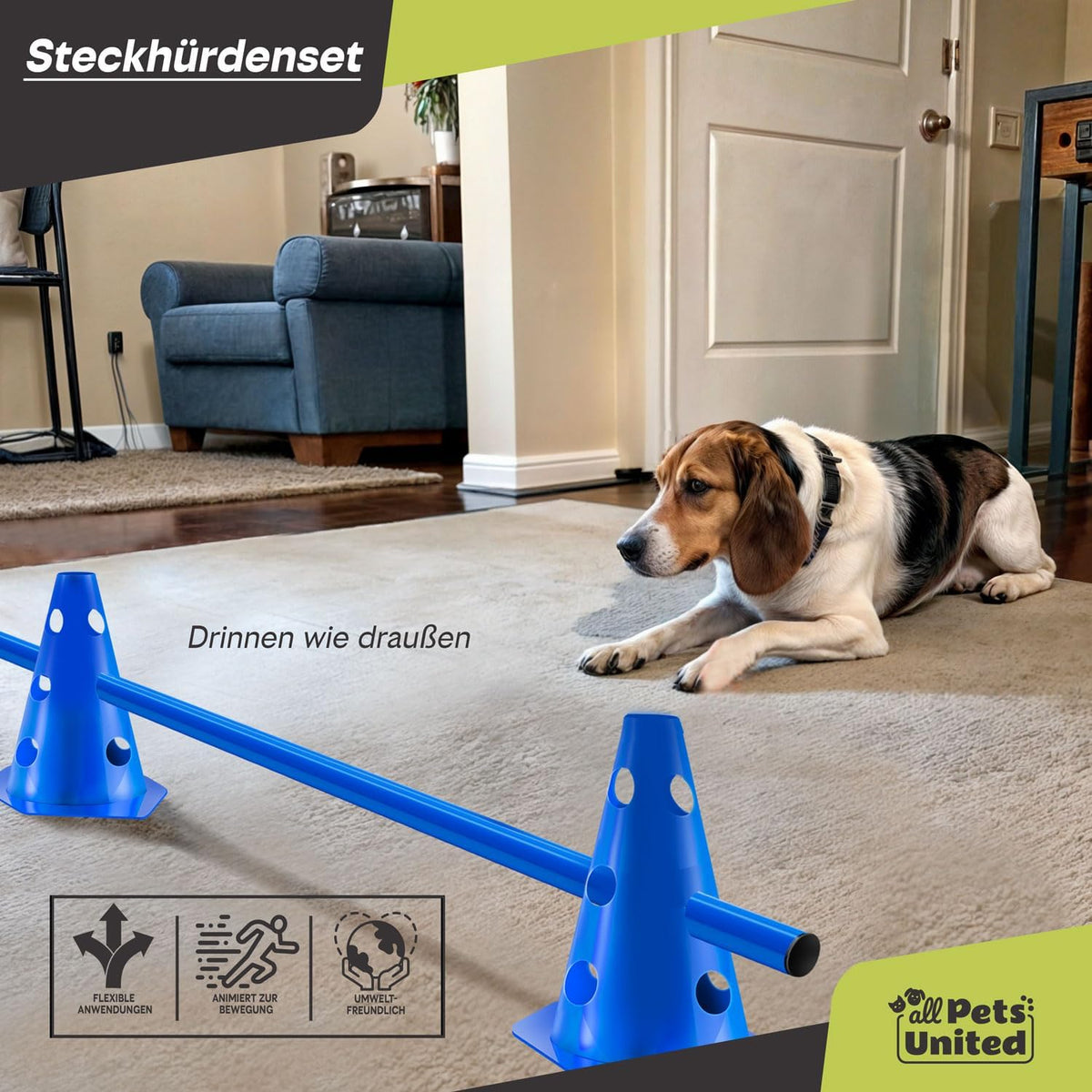 Agility-Hürden Set für Hunde & Pferde – Höhenverstellbar & Wetterfest #Anzahl_1