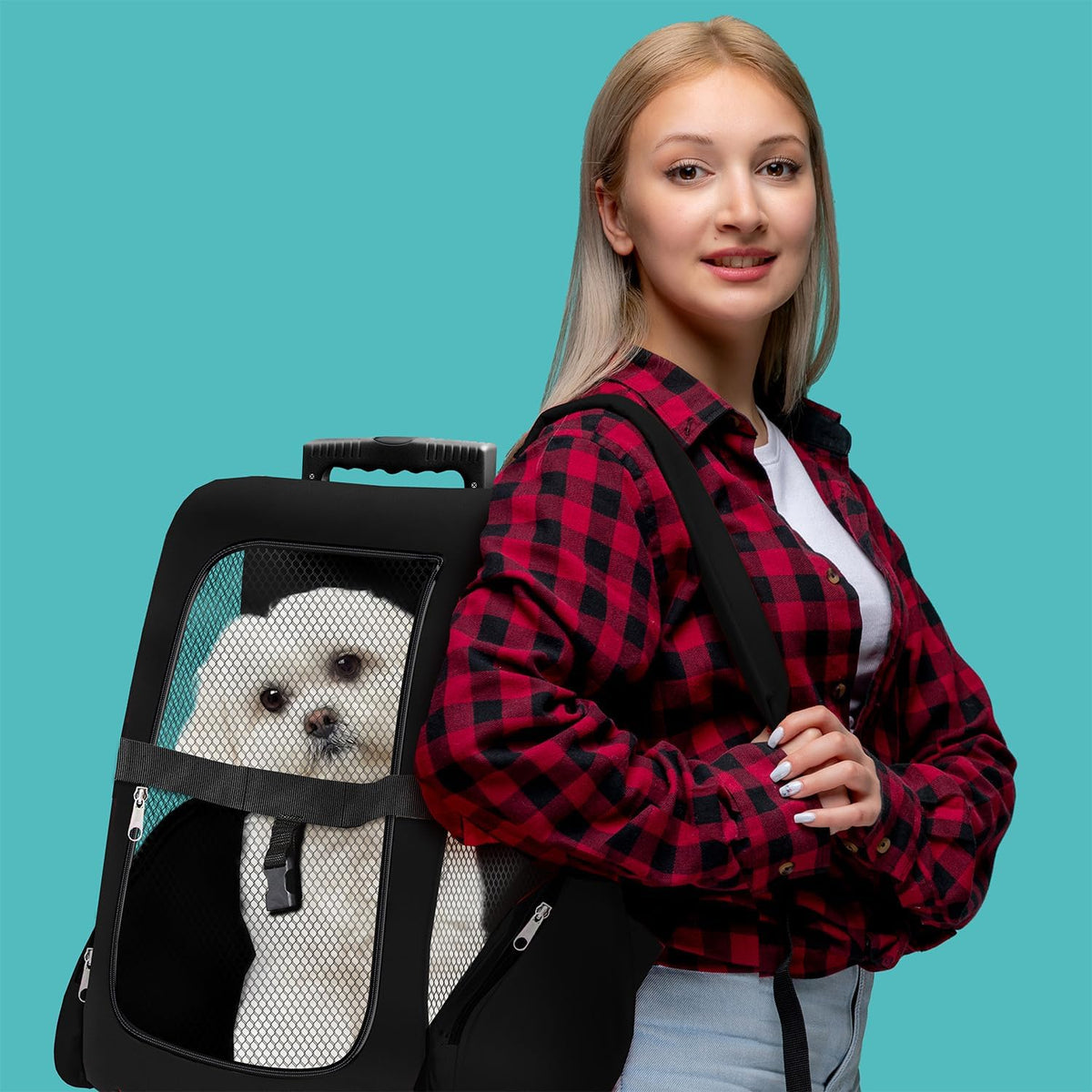 Hunde-Trolley & Haustier-Rucksack – Schwarz #Farbe_Schwarz