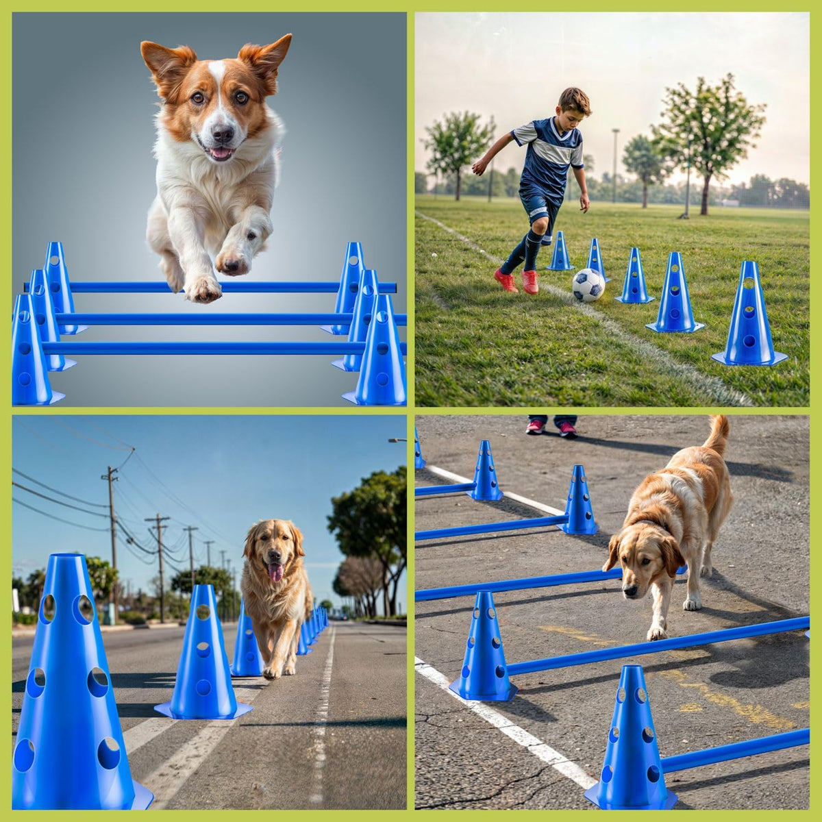 Agility-Hürden Set für Hunde & Pferde – Höhenverstellbar & Wetterfest #Anzahl_4