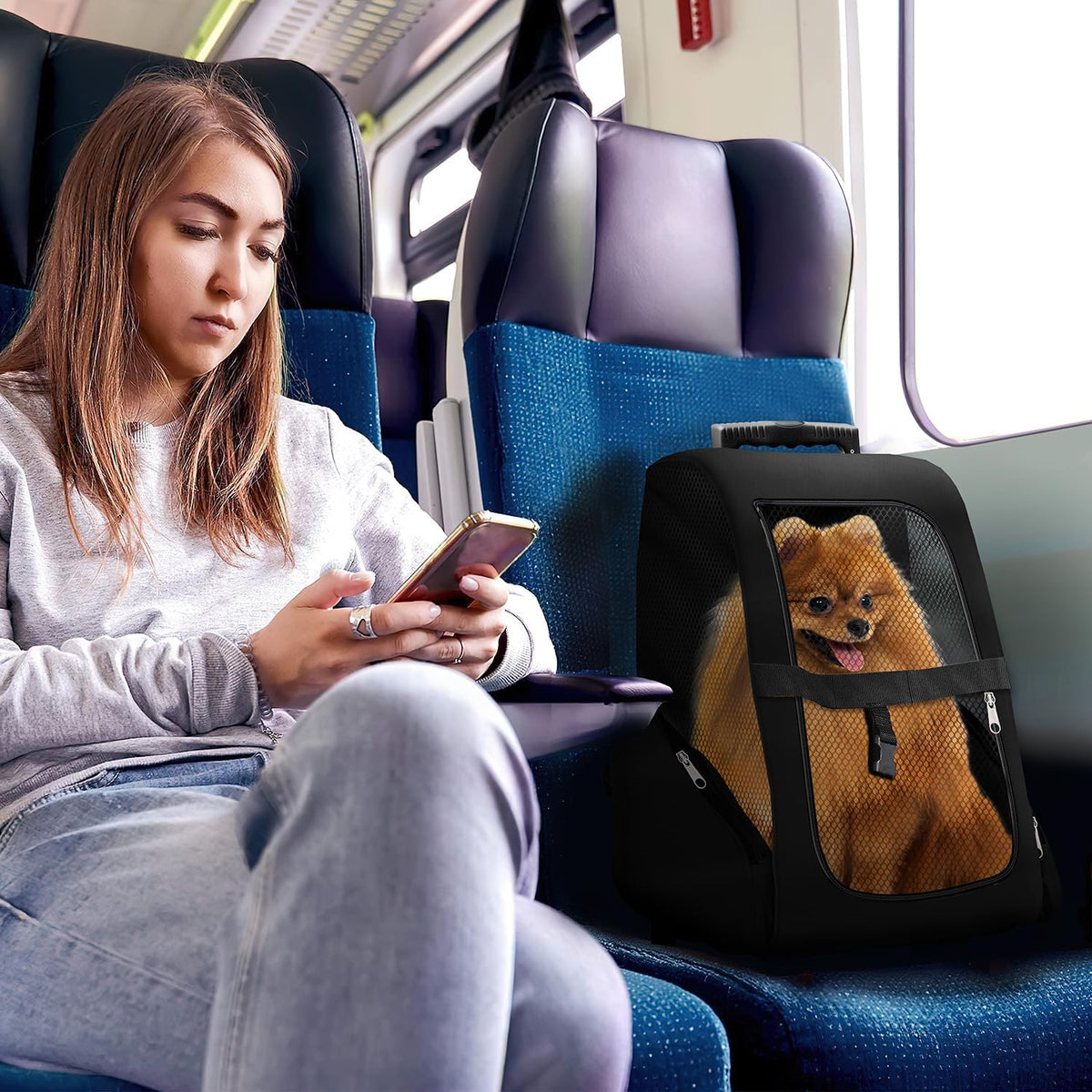 Hunde-Trolley & Haustier-Rucksack – Schwarz #Farbe_Schwarz