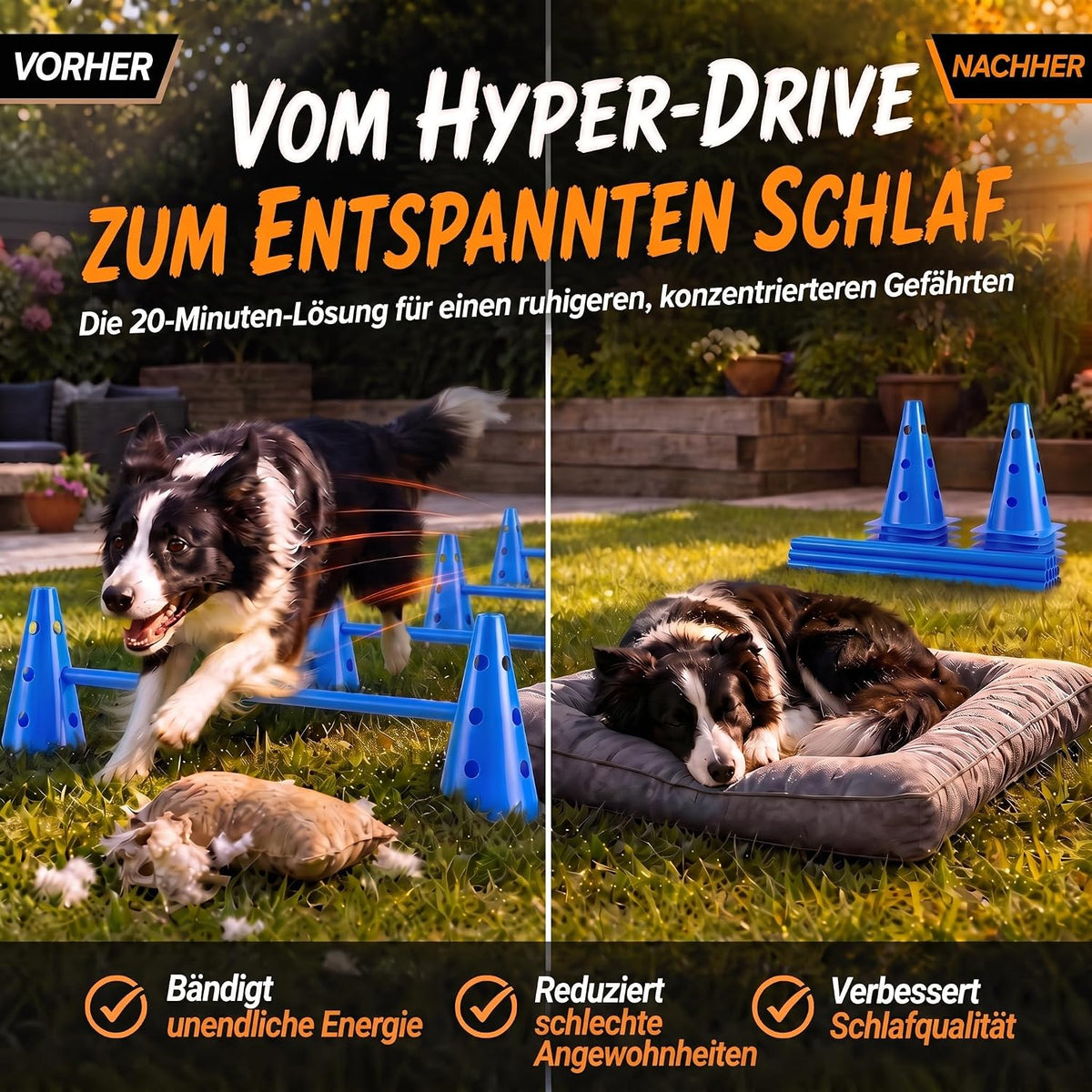 Hunde Agility Tunnel Set 500 cm - Spieltunnel mit Hürden #Variante_Groß
